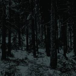 Moloch (UKR) : Abstrakter Wald